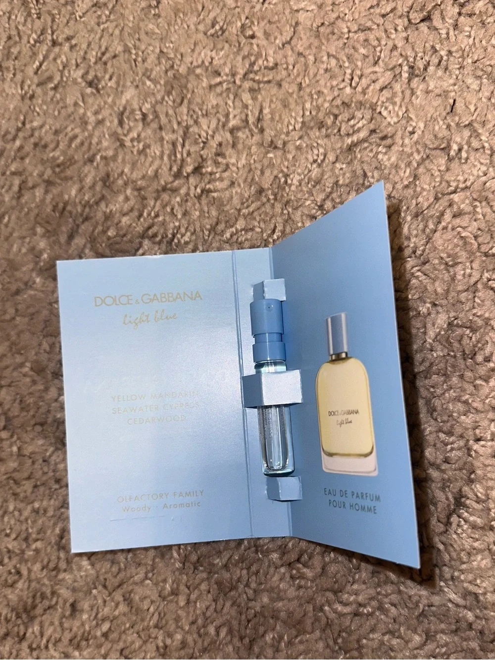 Dolce & Gabbana Light Blue Sample Card - Pale Blue with Metallic Logo